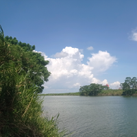 北汽网约神车头像