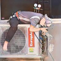 元气鲸鱼n3E头像