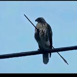 用户1356702184224头像