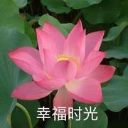 dddd73的个人资料头像