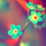 凉白开78639头像