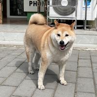 梦幻远山RtN头像