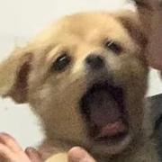 ChenLaiNing的个人资料头像