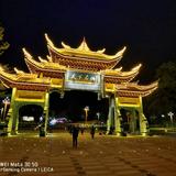 天晟999头像