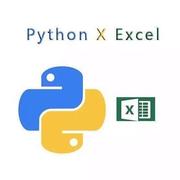 鲶鱼一条的个人资料头像