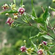 花样年华135的个人资料头像