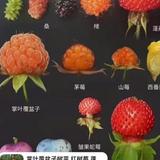 机智的小如头像