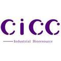 CICCTECH头像