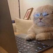 目木的个人资料头像