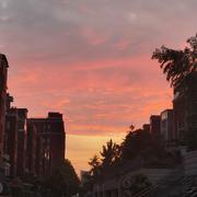 2408号戏子的个人资料头像