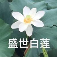 车融黑白花头像