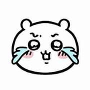 小小云吞的个人资料头像