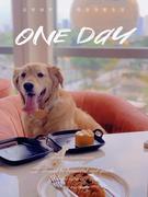 我是真的狗呀的个人资料头像