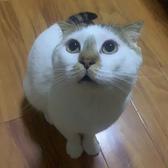 阿超的日常记录生活头像