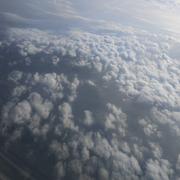 mingo883的个人资料头像