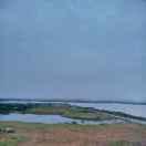 分飞的个人资料头像