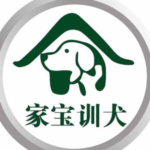 重庆家宝训犬头像