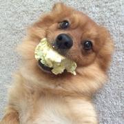 avemax的个人资料头像