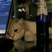 苏三305的个人资料头像