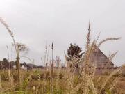 拿铁君的个人资料头像