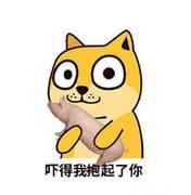 世本无尘的个人资料头像