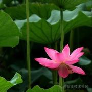 2107星星的个人资料头像