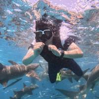 用户4563699542143头像