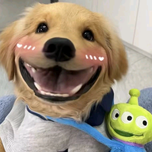 ʚ来生缘ɞ头像