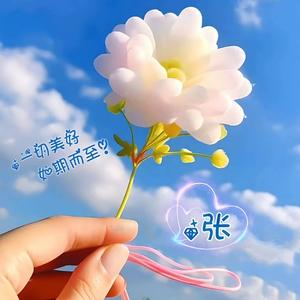 顺心情感头像