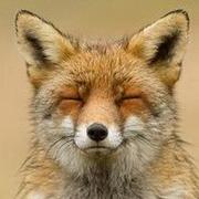 Yiko676的个人资料头像