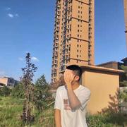 O886的个人资料头像