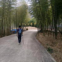 魏中闲头像