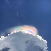 般木的个人资料头像