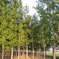 用户751659661546头像