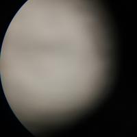 简单的不普通头像