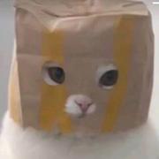 youngK1ng的个人资料头像