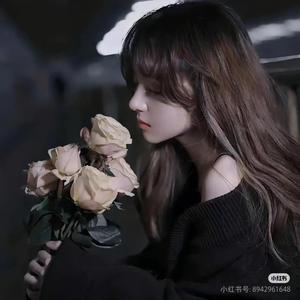 数只轻舟头像