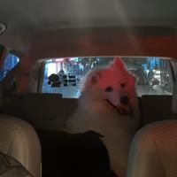 用户9665224431912头像