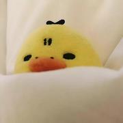 袁果锅的个人资料头像