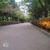 0016191头像