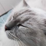 渡口壹面的个人资料头像