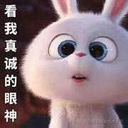 Antony02的个人资料头像