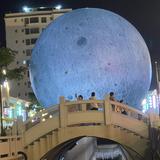 认真的橙子EFF头像