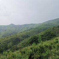 小河2158头像