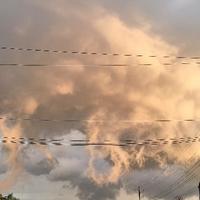 顶级鲸鱼杯头像