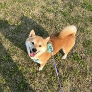 Erie的个人资料头像