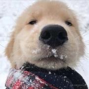 电竞蒋劲夫的个人资料头像