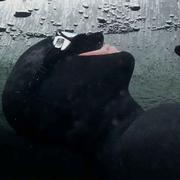 水哥450的个人资料头像