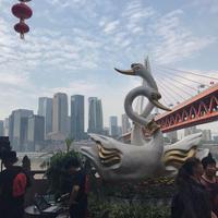 洗脑信吗唯美头像