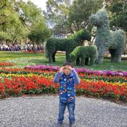 LoganXing豪峰的个人资料头像